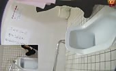 Mix of amateur girls pooping