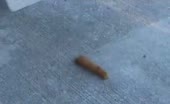 Young girl shitting outdoor