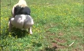 Blonde wife shitting outdoor