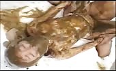 Hardcore Japanese scat fucking