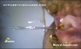 Creampied babe pooping in toilet