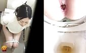 Huge turd in public bathroom