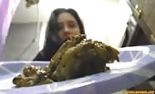 Thick turd on a plate and bedroom floor
