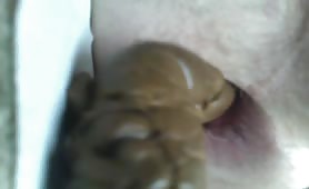 Real close up of a long turd