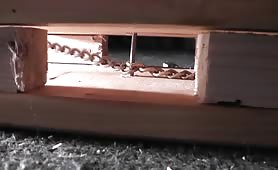 Cumshot on her fresh shit