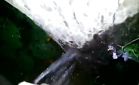 Couple peeing on a tree