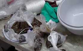 Fresh shit in plastic packs