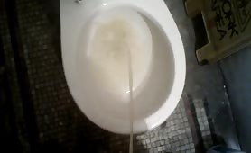 His pee is orange