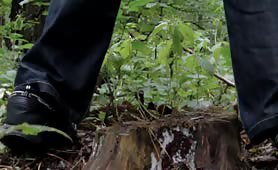 Tiny poop in forest