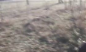 Shit and piss in public