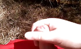 Fresh cum on a turd