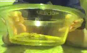 Chubby guy shitting and pissing in a plastic bowl