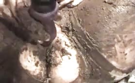 Really nasty scat couple