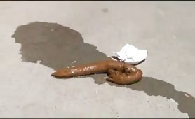 Woman shitting outdoors on a path