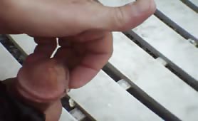 Eating poop outdoor