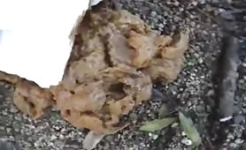 Woman shitting outdoors on dirt, proud smile, turd on ground