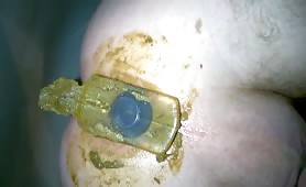 Shitty anal plug