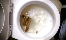 Trying to flush