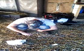 Man shitting in a stable on hay