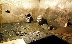 Playing in a septic tank