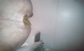 Poop after masturbating