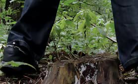 Small one in the forest
