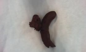Shit eat and wank