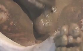 Extreme sexy shit pig