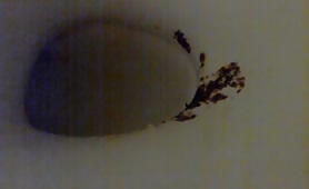 Piss over fresh scat