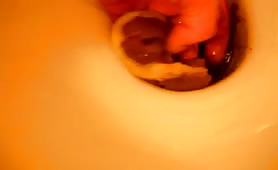 Scat thief grabs turd from toilet bowl