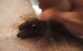 Man smearing shit on his cock after shitting