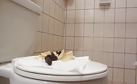 Chips with shit