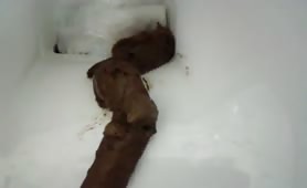 Lets cum on fresh shit