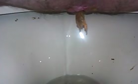 Morning poo just for you
