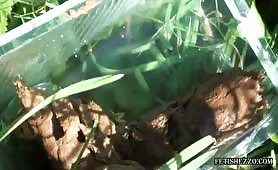 Pooping in the grass