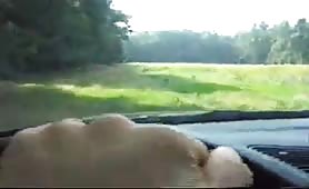 Scat in nature while sucking