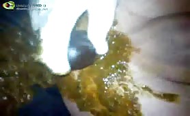 Guy with shit smeared ass rides toy