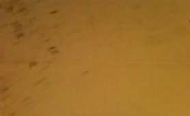 Scattered shit all over the toilet floor