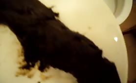 Huge shit on the plate