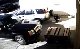 CCTV Pooping in the parking lot