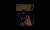 Kitty eating poop