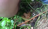 He likes to poop in your garden