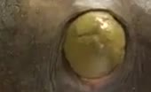 Yellow turd dropped in close up