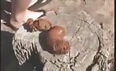 big turds dropped in a forest