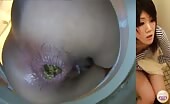 Big turd dropped in toilet