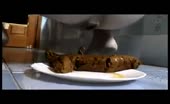 Big turd dropped in white plate