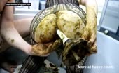 Yellow shit on entire ass