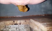 caught shitting outdoor