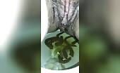 How can a hairy ass makes so much shit