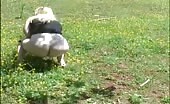 Blonde woman shitting outdoors as dog watches